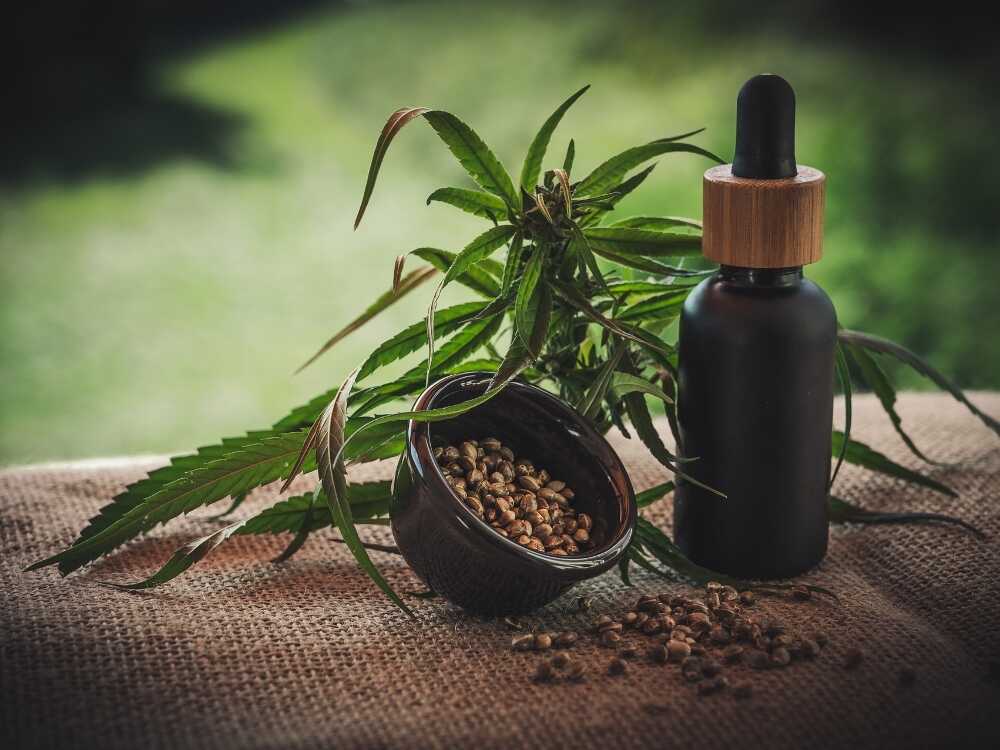 cannabis uso medicinal